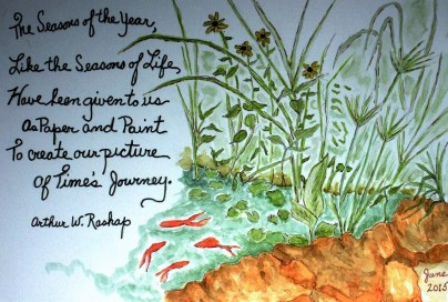 Nelson County Sketch #5